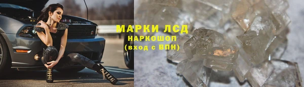 a pvp Аркадак