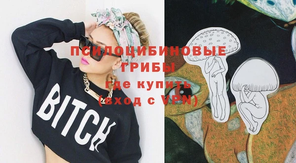 бошки Армянск