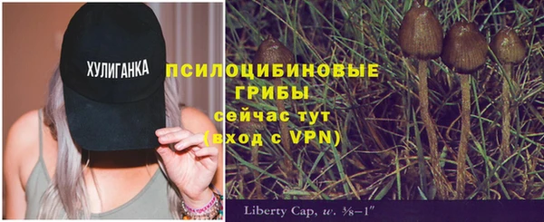 МДМА Арсеньев