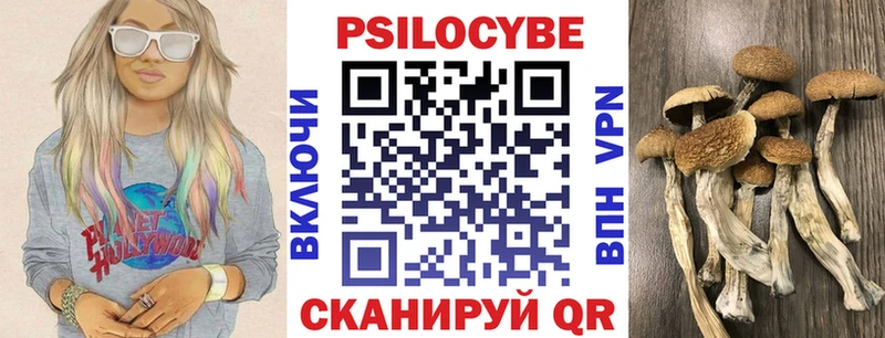 Галлюциногенные грибы MAGIC MUSHROOMS  закладка  Чудово 